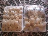 Congelados Sortidos